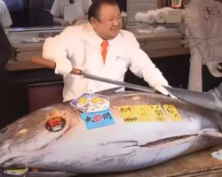 Киёси Кимура — Король тунца вновь удивил на аукционе в Токио, купив рекордного тунца kiyosi kimura korol tuncza vnov udivil na aukczione v tokio kupiv rekordnogo tuncza-signaldaily-ru-0