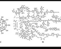 Команда СФУ и ИБФ СО РАН с Екатериной Ковель изучает гуминовые вещества komanda sfu i ibf so ran s ekaterinoj kovel izuchaet guminovye veshhestva-signaldaily-ru-0