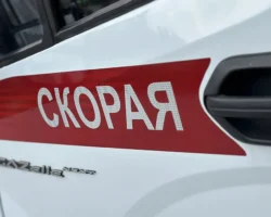 МВД России быстро отреагировало на ДТП в Клину с участием Opel и Лиаз mvd rossii bystro otreagirovalo na dtp v klinu s uchastiem i liaz-signaldaily-ru-0