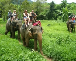 Неделя отдыха в Centara Koh Chang Tropicana Resort на Ко Чанге в Таиланде nedelya otdyha v na ko change v tailande-signaldaily-ru-0