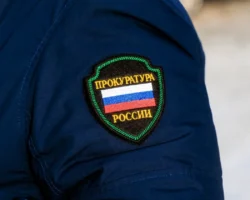 Прокуратура и Следком Приморья окажут поддержку пенсионерке из Находки prokuratura i sledkom primorya okazhut podderzhku pensionerke iz nahodki-signaldaily-ru-0