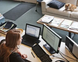 Роскачество и Евгения Ганькина о правах сотрудников по ТК РФ roskachestvo i evgeniya gankina o pravah sotrudnikov po tk rf-signaldaily-ru-0