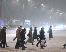 Сильные осадки в ВДНХ, Балчуге и МГУ составляют 20% месячной нормы silnye osadki v vdnh balchuge i mgu sostavlyayut 20 mesyachnoj normy-signaldaily-ru-0