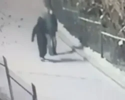 СК России выясняет исчезновение друга Коли из Красноярска sk rossii vyyasnyaet ischeznovenie druga koli iz krasnoyarska-signaldaily-ru-0