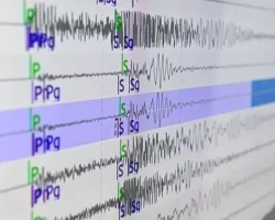 Слабое землетрясение на Сахалине последствий не вызвало slaboe zemletryasenie na sahaline posledstvij ne vyzvalo-signaldaily-ru-0