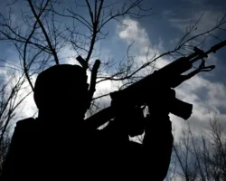 Спор ветерана СВО в спортивных брюках с баром Междуреченска дошёл до мэра Камбалина spor veterana svo v sportivnyh bryukah s barom mezhdurechenska doshyol do mera kambalina-signaldaily-ru-0