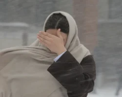 Свежий снег в Москве и Подмосковье создает новогоднее настроение svezhij sneg v moskve i podmoskove sozdaet novogodnee nastroenie-signaldaily-ru-0