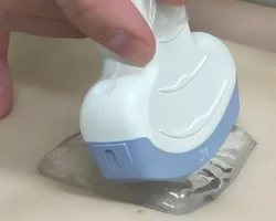 Университет Киндай создал твердый УЗИ-гель из тамаринда universitet kindaj sozdal tverdyj uzigel iz tamarinda-signaldaily-ru-0