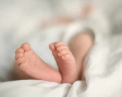 В Польше родился ребёнок с алкоголем в крови матери v polshe rodilsya rebyonok s alkogolem v krovi materi-signaldaily-ru-0