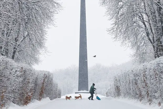 Вводная картинка