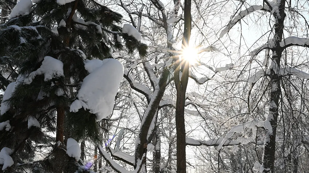 В деле Усольцевых появилась несостыковка в показаниях свидетелей