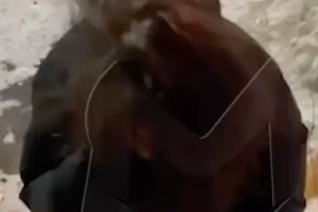 Вводная картинка