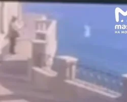 Кошка Муся спаслась после падения у Ласточкиного гнезда – это чудо koshka musya spaslas posle padeniya u lastochkinogo gnezda eto chudo-signaldaily-ru-0