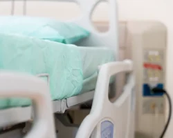 Максим Забелин: ситуация с оспой обезьян под контролем maksim zabelin situacziya s ospoj obezyan pod kontrolem-signaldaily-ru-0