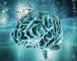 МГУ имени М.В. Ломоносова: Фиброин – открытие для восстановления мозга mgu imeni mv lomonosova fibroin otkrytie dlya vosstanovleniya mozga-signaldaily-ru-0