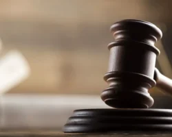 Подростки в Вологодской области получили наказание за поджоги podrostki v vologodskoj oblasti poluchili nakazanie za podzhogi-signaldaily-ru-0