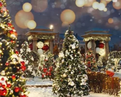 Ракова приглашает в Склиф Москвы на зимнюю свадьбу-сказку rakova priglashaet v sklif moskvy na zimnyuyu svadbuskazku-signaldaily-ru-0