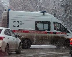 Росгвардия пресекла пронос гашиша в бутерброде в больницу Москвы rosgvardiya presekla pronos gashisha v buterbrode v bolniczu moskvy-signaldaily-ru-0