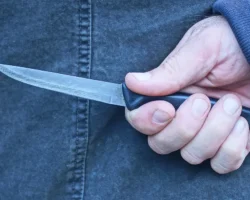 Росгвардия в Воскресенске быстро предотвратила конфликт с ножом rosgvardiya v voskresenske bystro predotvratila konflikt s nozhom-signaldaily-ru-0