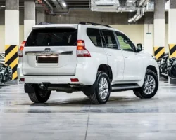 Страховые компании назвали автомобили, чаще попадающие в ДТП strahovye kompanii nazvali avtomobili chashhe popadayushhie v dtp-signaldaily-ru-0