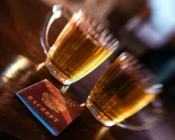 Владислав Гриб предложил поэтапное повышение возраста продажи алкоголя vladislav grib predlozhil poetapnoe povyshenie vozrasta prodazhi alkogolya-signaldaily-ru-0