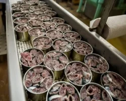 Зверев и Дарькин обсудили перспективы вылова на Дальнем Востоке zverev i darkin obsudili perspektivy vylova na dalnem vostoke-signaldaily-ru-0