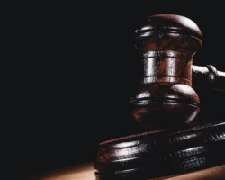 Бутырский суд восстановил законность по делу Андрея Бенгарда butyrskij sud vosstanovil zakonnost po delu andreya bengarda-signaldaily-ru-0