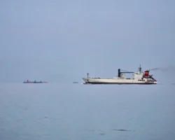 Дональд Трамп о безопасности Ормузского пролива и стратегии США donald tramp o bezopasnosti ormuzskogo proliva i strategii ssha-signaldaily-ru-0