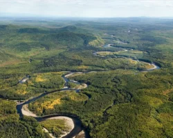 ЛизаАлерт и Григорий Сергеев ищут семью Усольцевых lizaalert i grigorij sergeev ishhut semyu usolczevyh-signaldaily-ru-0