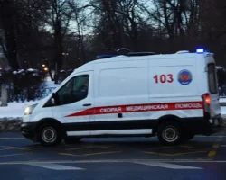 Новые случаи оспы обезьян в Мытищах и Подмосковье успешно лечатся novye sluchai ospy obezyan v mytishhah i podmoskove uspeshno lechatsya-signaldaily-ru-0