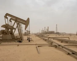 Путин о добыче нефти и роли Ирана в Ормузском проливе putin o dobyche nefti i roli irana v ormuzskom prolive-signaldaily-ru-0