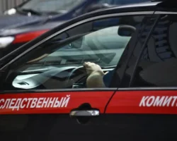 Следственный комитет и музей Салехарда заботятся о детях sledstvennyj komitet i muzej saleharda zabotyatsya o detyah-signaldaily-ru-0