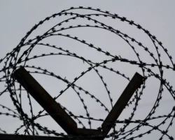 Уссурийский суд рассмотрел дело о краже в пункте выдачи Вайлдберриз ussurijskij sud rassmotrel delo o krazhe v punkte vydachi vajldberriz-signaldaily-ru-0