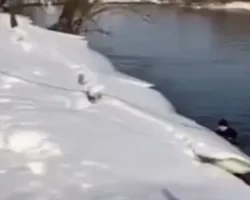 vodolazy mchs i liza alert snova issleduyut moskvureku u zvenigoroda-signaldaily-ru-0