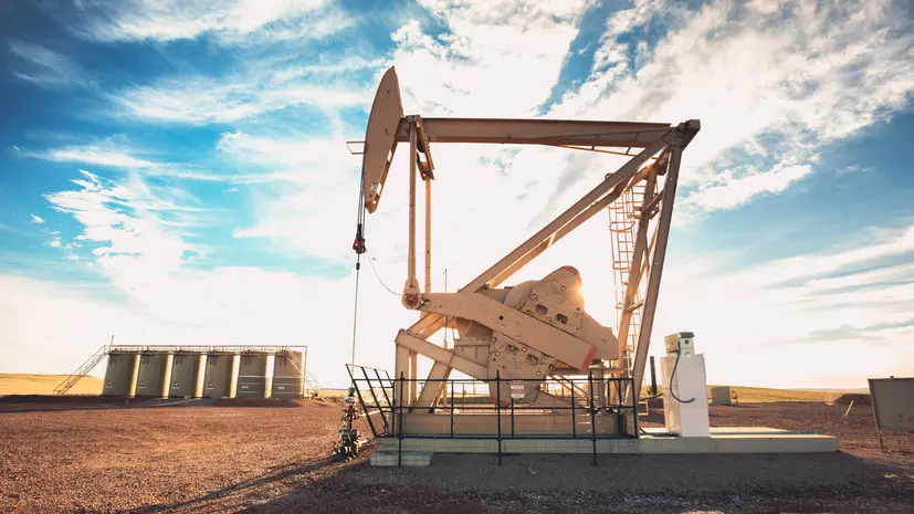 Индийский аналитик высказался за увеличение закупок российской нефти