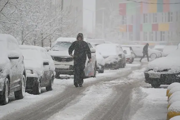 Вводная картинка