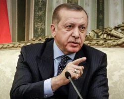 erdogan i zelenskij obsudili sudbu chernogo morya-signaldaily-ru-0