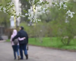 Госдума разъяснила майские выходные согласно Трудовому кодексу России gosduma razyasnila majskie vyhodnye soglasno trudovomu kodeksu rossii-signaldaily-ru-0