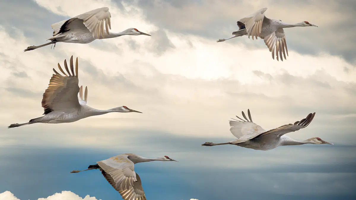 Народные приметы на 17 апреля 2026 года