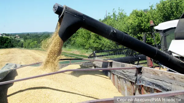 Эксперт предрек провал украинского шантажа из-за поставок российского зерна Израилю