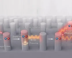 Кавокин и МФТИ открыли КПЗ-универсальность в экситон-поляритонах kavokin i mfti otkryli kpzuniversalnost v eksitonpolyaritonah-signaldaily-ru-0