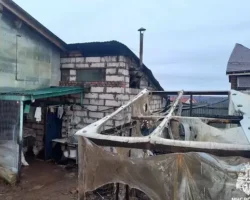 kotenok i bditelnost mchs rossii pomogli spasti zhenshhinu iz ognya-signaldaily-ru-0