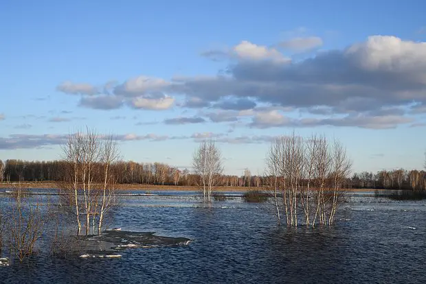 Архивное фото