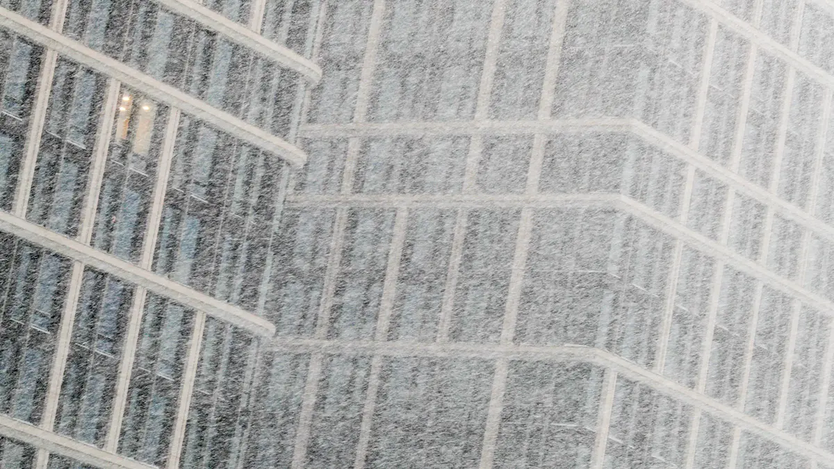 Москвичей призвали быть осторожными из-за повреждения деревьев от налипшего снега и сильного ветра