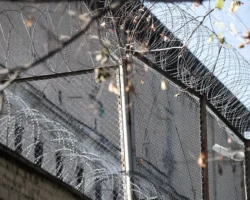 odinczovskij sud arestoval ibragimova za moshennichestvo s mikrozajmom-signaldaily-ru-0