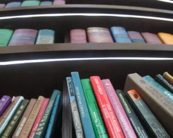 optimistichnaya pravovaya oczenka proizvedenij grigoriya ostera-signaldaily-ru-0