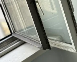 Поддержка животных в Москве: приоритет для горожан podderzhka zhivotnyh v moskve prioritet dlya gorozhan-signaldaily-ru-0