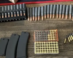policzejskie gu mvd rossii po moskve nashli i izyali u moskvicha patrony-signaldaily-ru-0