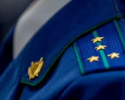 Прокуратура Владивостока изучает ситуацию с рыбой в Партизанске prokuratura vladivostoka izuchaet situacziyu s ryboj v partizanske-signaldaily-ru-0