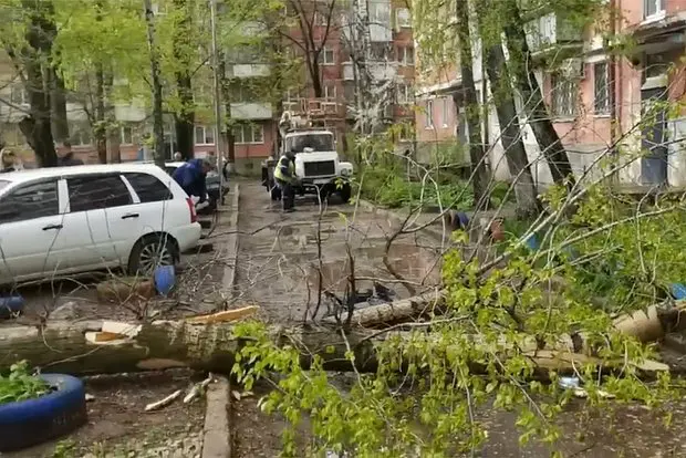 Вводная картинка